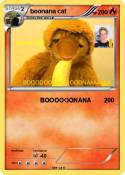 boonana cat