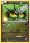 fly
