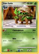 Yum-Turtle