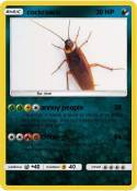 cockroach