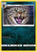 angry cat