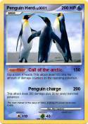 Penguin Herd