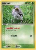 baby bird