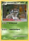 berger allemand