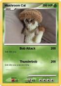 Mushroom Cat
