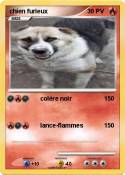 chien furieux
