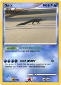 Gator
