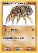 EOBRACHYCHTHONI