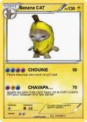 Banana CAT