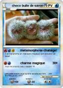 choco bulle de