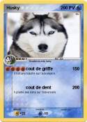 Husky