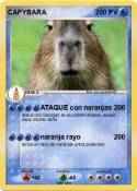 CAPYBARA