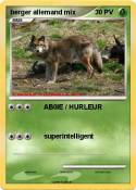 berger allemand