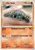 Fire Turtle
