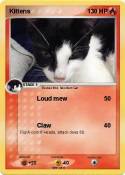 Kittens