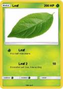 Leaf