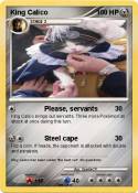 King Calico