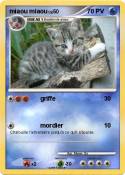 miaou miaou
