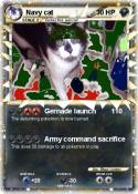 Navy cat