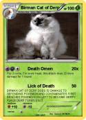 Birman Cat of