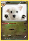 chiot