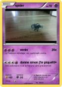 spider