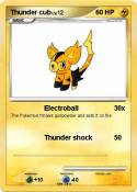 Thunder cub