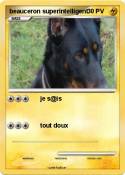 beauceron super