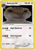 Eyebrow Cat