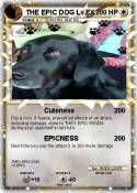 THE EPIC DOG