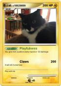 B.cat