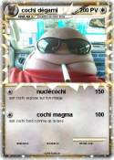 cochi dégarni