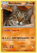 Black Widdow