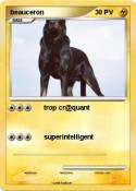 beauceron