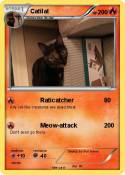 Catilat