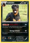 Rottweiler