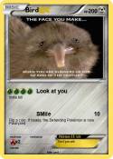 Bird
