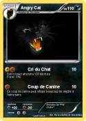 Angry Cat