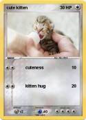 cute kitten