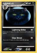 Hollyleaf