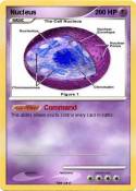 Nucleus