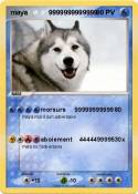 maya 9999999999