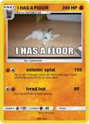 I HAS A FIOOR