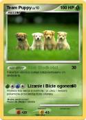 Team Puppy