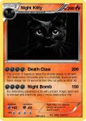 Night Kitty