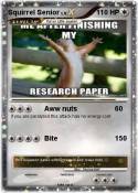 Squirrel Senior