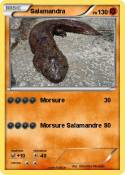 Salamandra