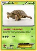 turtle