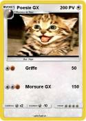 Poesie GX