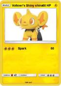 Volkner's Shiny